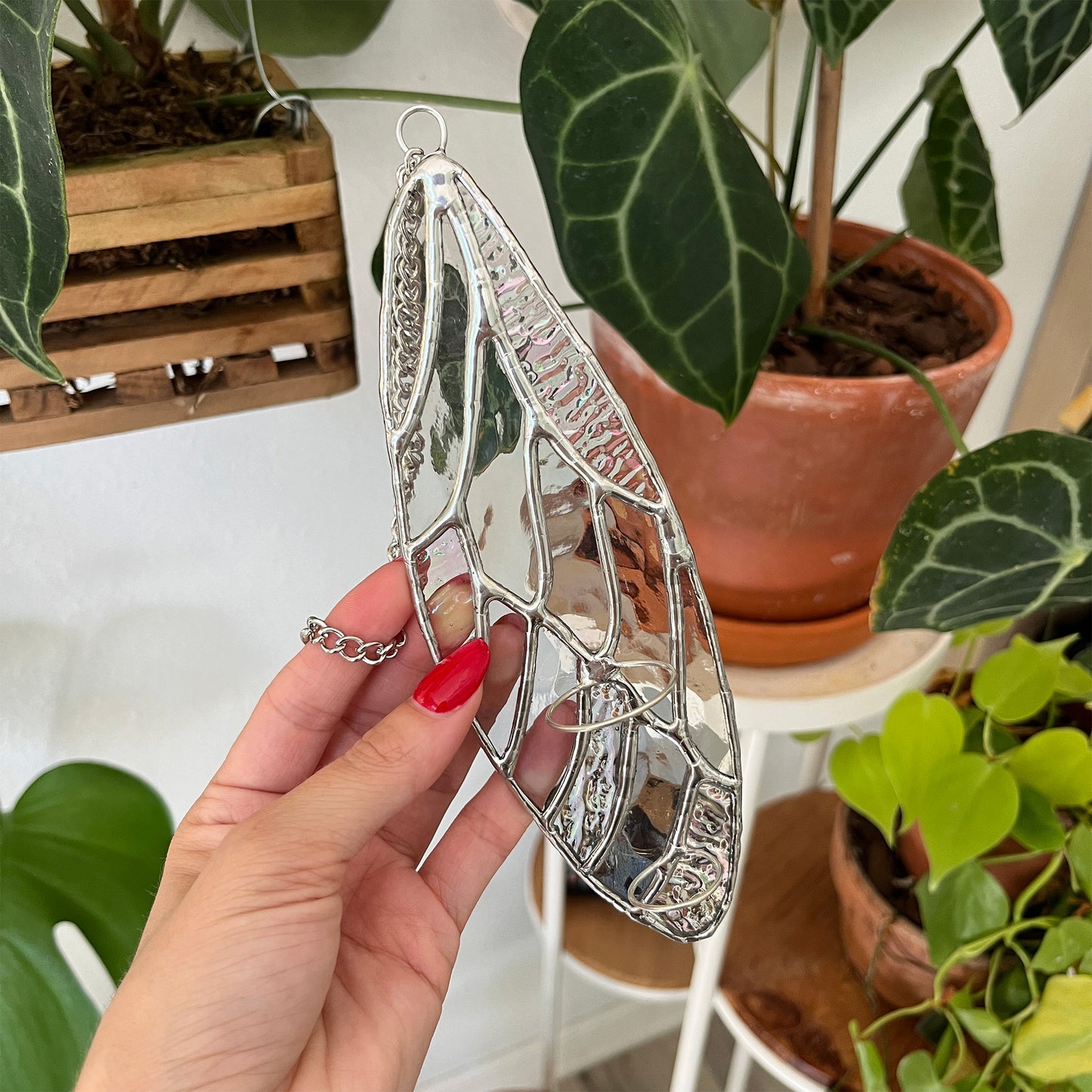Iridescent Wing Suncatcher - Plant Propagation