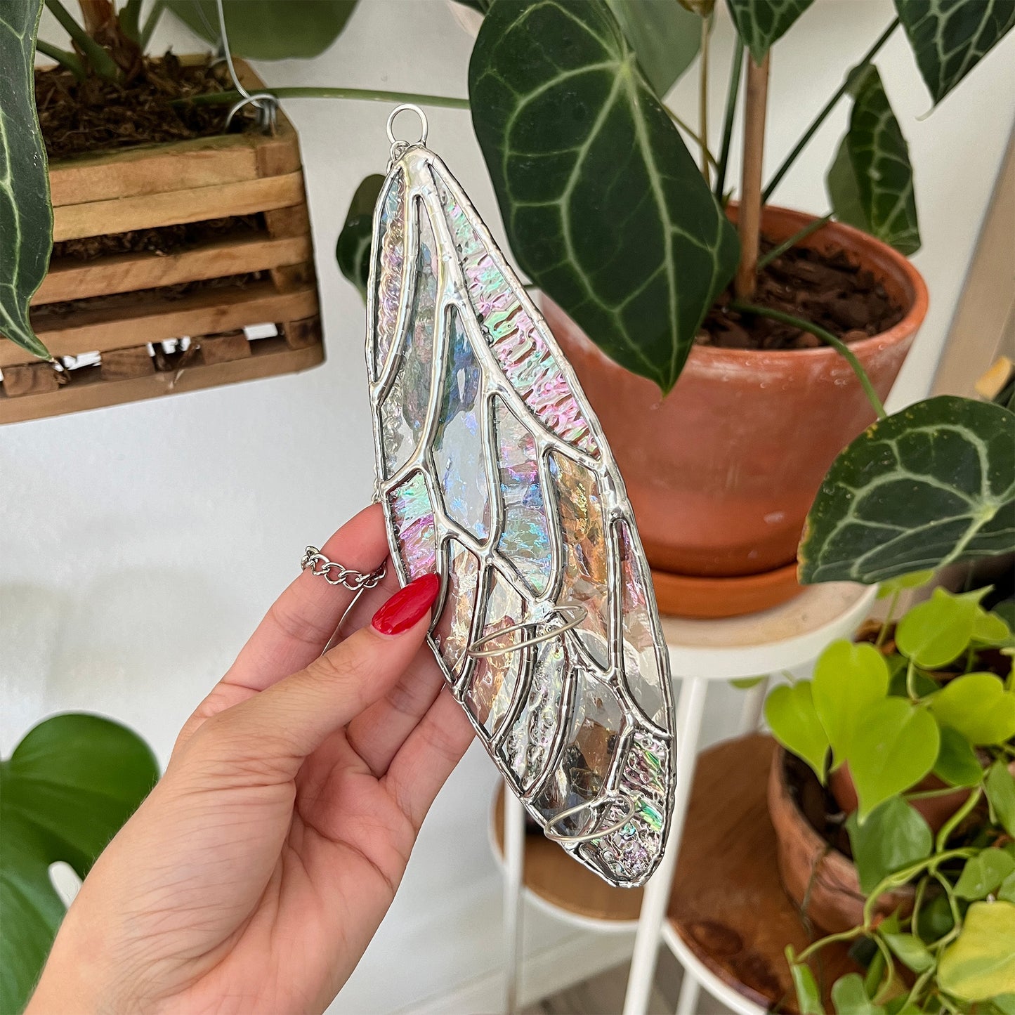Iridescent Wing Suncatcher - Plant Propagation