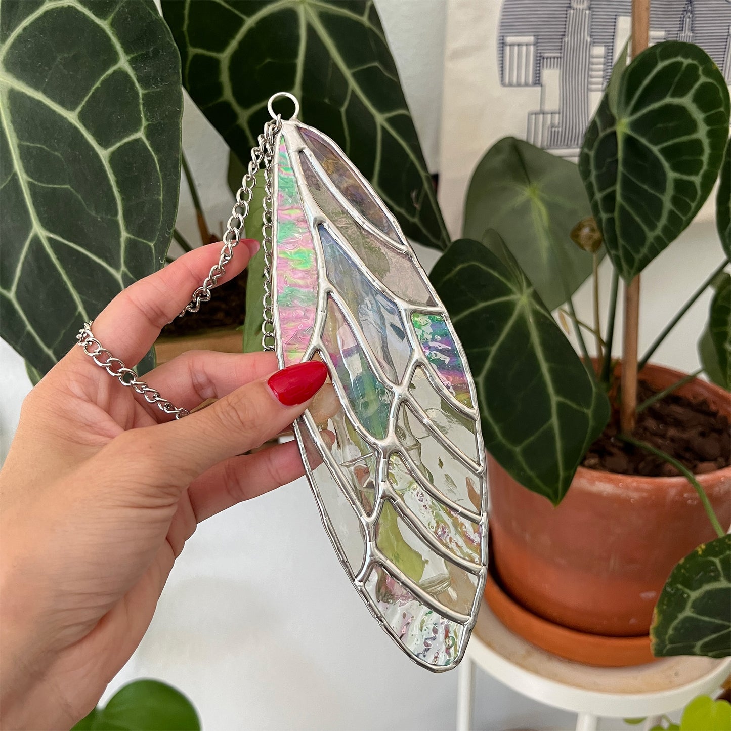 Iridescent Wing Suncatcher - Plant Propagation