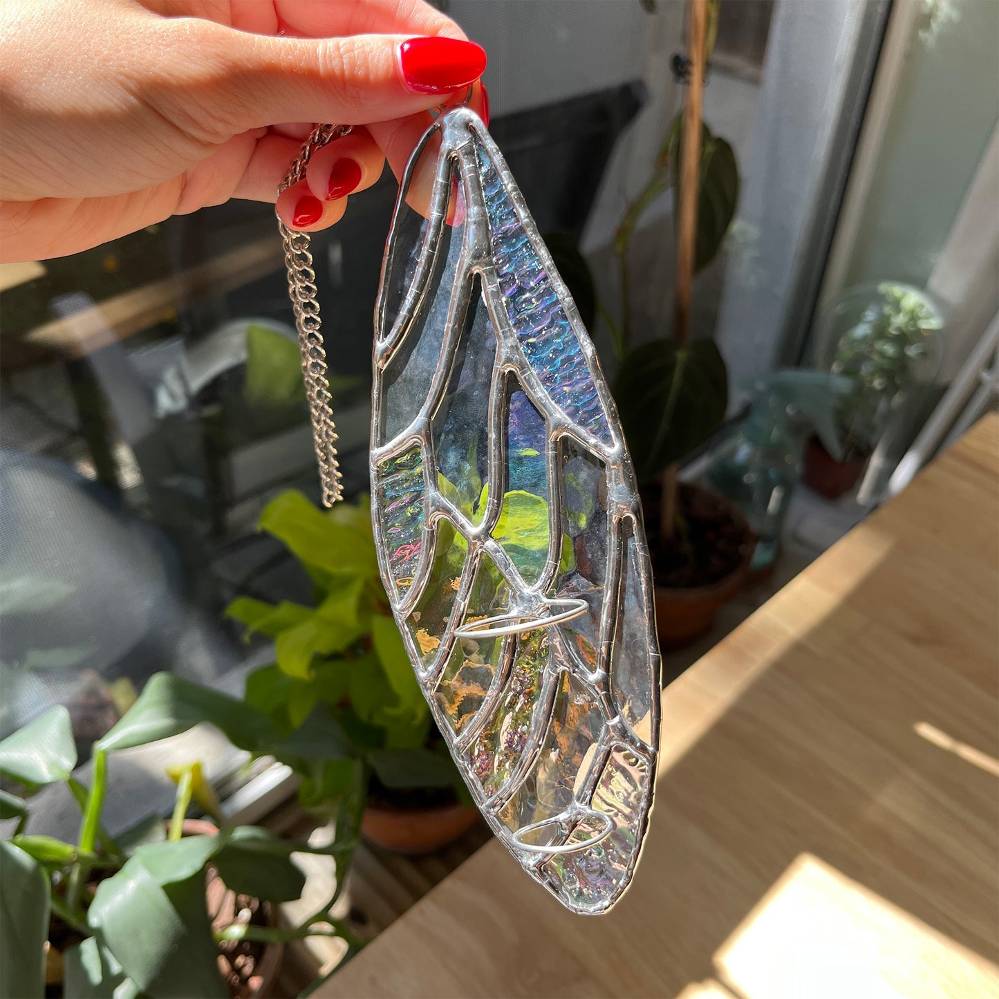 Iridescent Wing Suncatcher - Plant Propagation