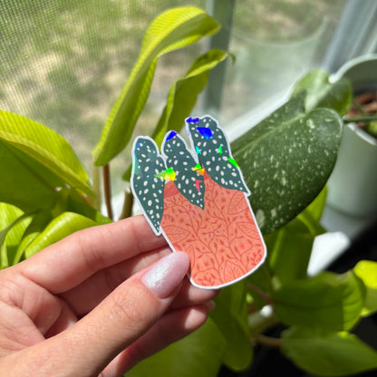 Plant Stickers