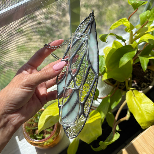 Iridescent Wing Suncatcher - Plant Propagation