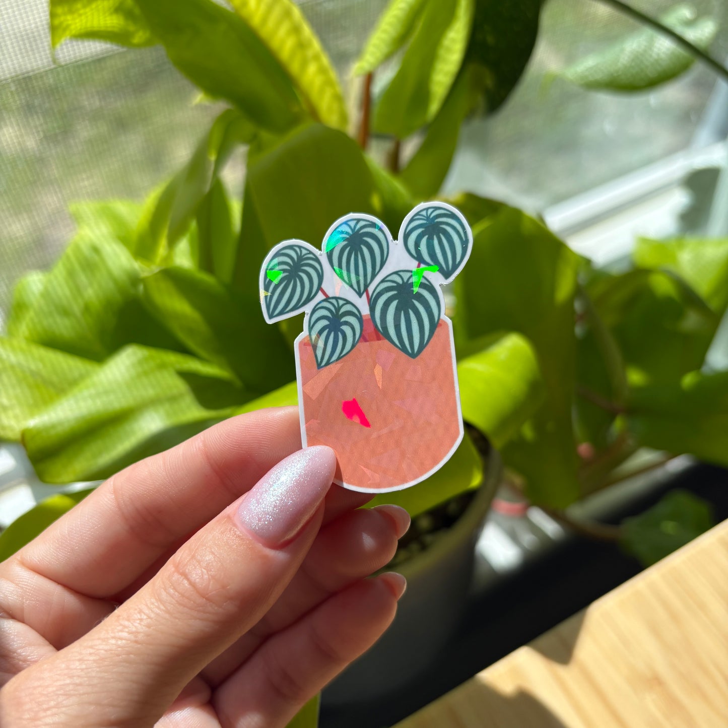 Plant Stickers