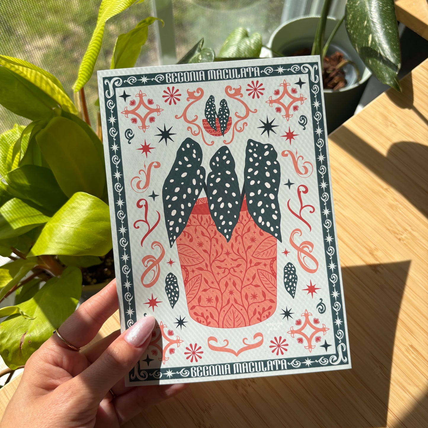Begonia Maculata Print