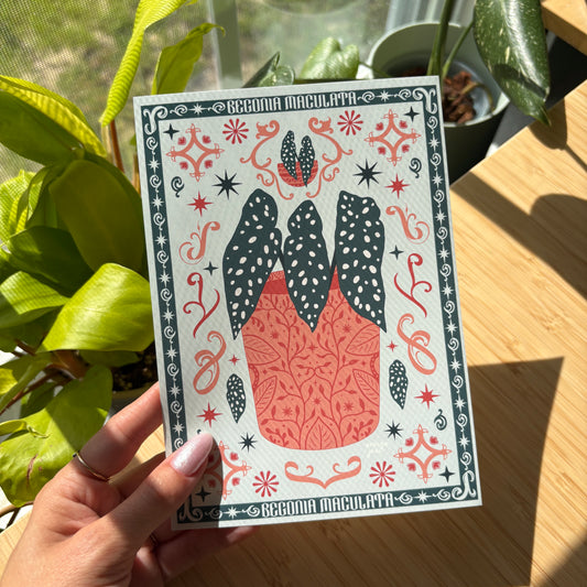 Begonia Maculata Print