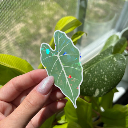 Plant Stickers